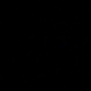 Meet your Posher, Mina